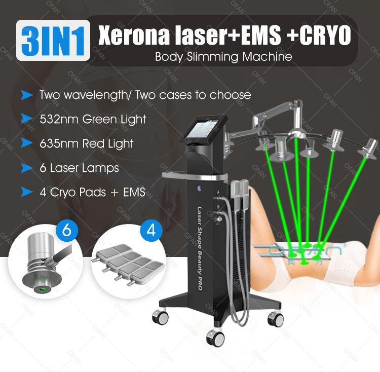 Ofan Beauty Salon Equipment Slimming Fat Freezing Best Price Criolipolisis Machine Cryolipolysis L 532nm Green Laser